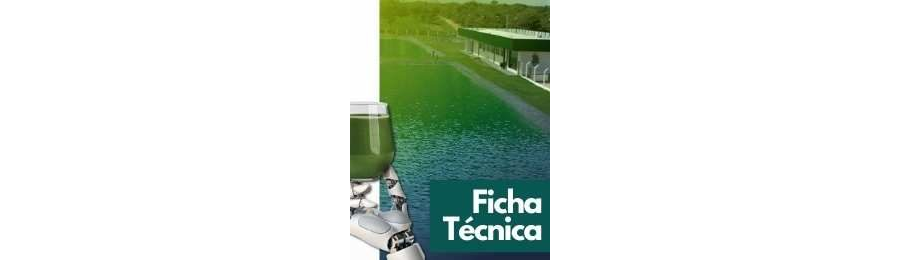 Composição da Spirulina Spigreen