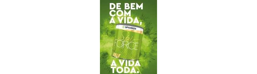 Catálogo Spigreen